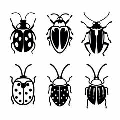 Collection of six black and white beetle illustrations vector insect drawing