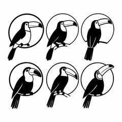 Illustration of six toucans in black and white, each perched within a circle