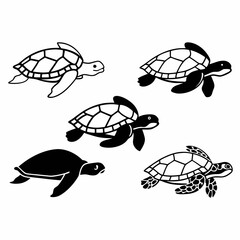 Sea turtles swimming in different directions, vector illustration design