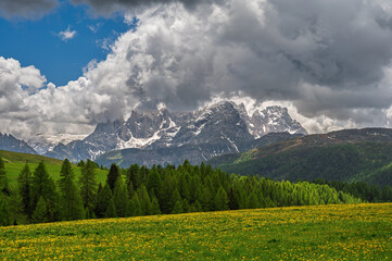 mountain nature sceneries along the trail that start from Passo San Pellegrino to Rifugio Fuciade,...