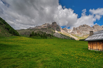 nature sceneries inside the Fuciade basin, Soraga di Fassa, Val di Fassa , Dolomites, Italy