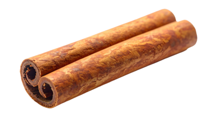 Two cinnamon sticks curled and textured on a black background