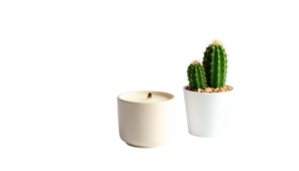 Small cactus by lit candle against a black background