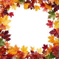 Obraz premium Vibrant autumn leaves in a colorful frame.