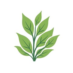 Fototapeta premium Discover Nature's Bounty Fresh Leafy Greenery for Your Home and Garden