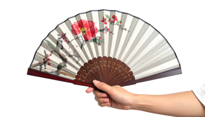 Hand holding open fan with floral design, black background