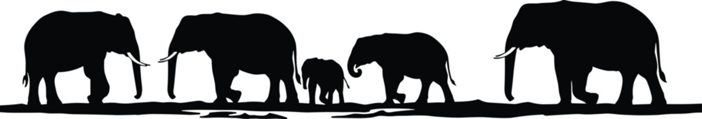 Elephant family silhouettes walking together on savanna vector illustration, wildlife herd scene, nature conservation concept, safari animals and wilderness background design