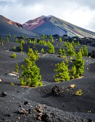 Verdant conifers dot volcanic terrain under a multi-hued peak