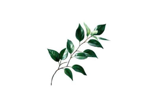Close-up of a stylized branch with deep green leaves