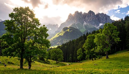 Verdant trees and mountain peaks under a dramatic, sunlit sky
