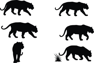 Tiger silhouettes walking and stalking vector illustration set, wild animal collection for jungle wildlife, nature, predator motion, and endangered species conservation design