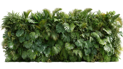 Lush green vertical garden wall