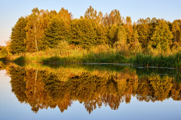 Tranquil River Reflections of Autumn Trees