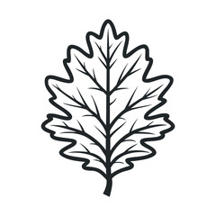 Detailed outline of a maple leaf for nature designs. Vector line illustration