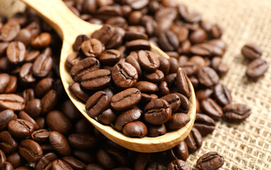 coffee beans on a wooden spoon