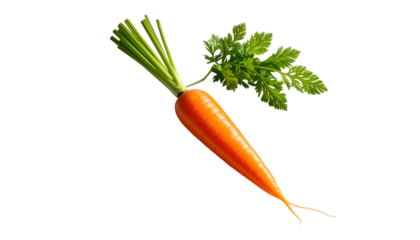 Isolated bright orange carrot with green leafy top on black backdrop