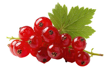 Close-up cluster of red currants with leaf