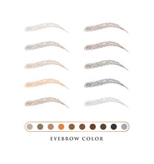 Female eyebrows in various colors. Blonde, red and dark hair. Arch brows shapes. Linear vector Illustration in trendy minimalist style. Brow bar