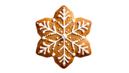 Iced gingerbread snowflake cookie against a dark background