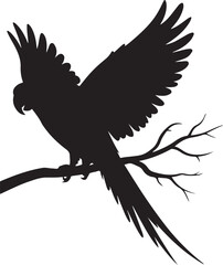 Parrot silhouette on tree branch 

