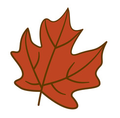 autumn maple leaf Vector illustration