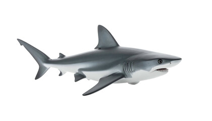 Fototapeta premium Gray shark swims with open mouth