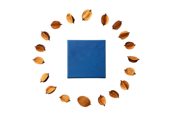 Blue square surrounded by golden seed pods