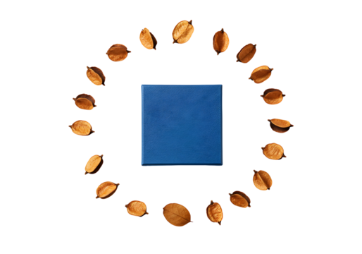 Blue square surrounded by golden seed pods