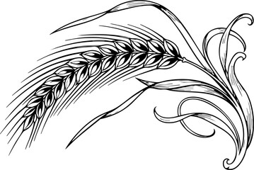 Elegant wheat stalk flourish design element for natural branding and organic product promotions with artistic detail © Artesian Edge