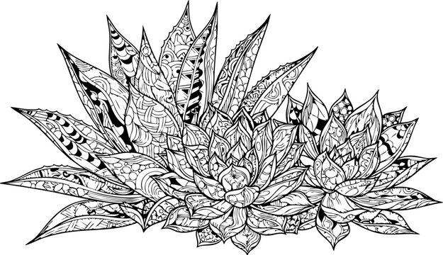 Intricate zentangle succulent design offers serene beauty for creative projects and mindful coloring, bringing natural elegance to any application.