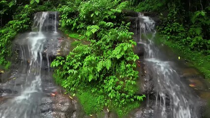 A beautiful waterfall cascading down a lush, moss-covered cliff face. The scene is set in a vibrant, tropical rainforest, with the foreground filled with rich green foliage and plants swaying gently. - Powered by Adobe