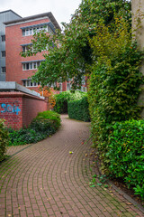 path in the garden