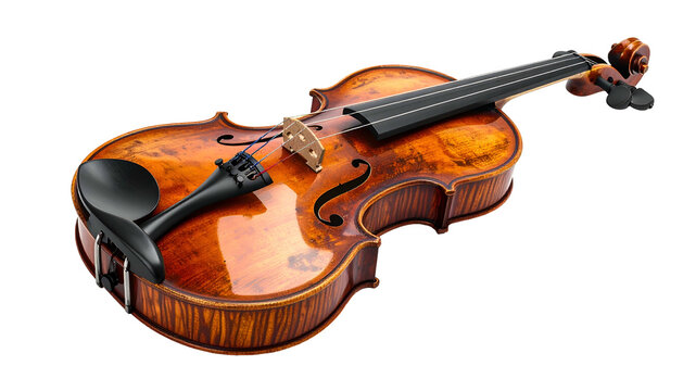 Ornate violin strings, bridge, ebony accessories against black
