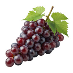 Fototapeta premium Ripe red grapes with green leaves a fruit food