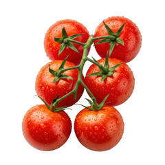 Fototapeta premium Ripe red tomatoes vine covered in water droplets against image