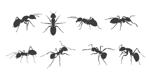 silhouette ant set bundle vector