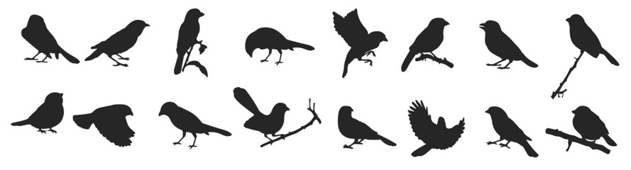 sparrow silhouette on white background