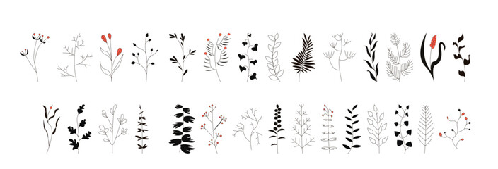 Sprigs Collection vector
