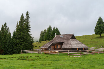 One of the herders dwellings on the Velika planina