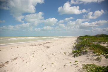 Nature reserve and beautiful beach in Río Lagartos on the Yucatan Peninsula in Mexico.