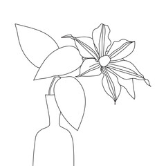Line drawing of a clematis flower in a vase