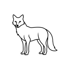 Fototapeta premium Outline drawing of a standing fox on transparent background silhouette