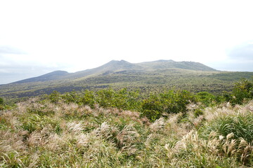 Fototapeta premium Mihara-yama Mountain in Oshima, Tokyo, Japan - 日本 東京 大島 三原山