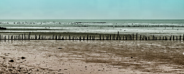 Wadden sea mudflats at low tide with wooden groynes protecting the coast of carolinensiel, germany