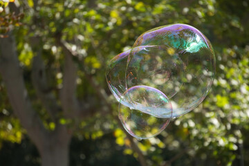 Iridescent soap bubbles floating outdoors in nature