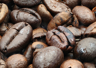 Dark roasted coffee beans spread across a surface, highlighting their rich color and texture