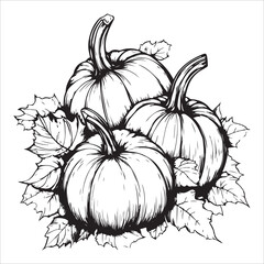 Pumpkins with leaves, silhouette on white background. 