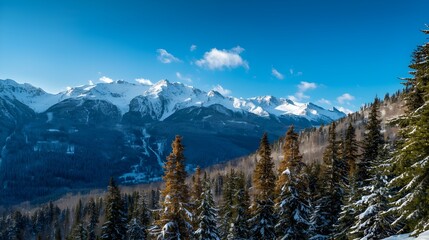 Snow covered mountains in winter landscape with forest and scenic alpine view