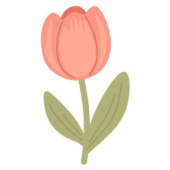 Tulip Flower in Flat Style for Spring Botanical Design