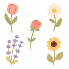 Floral Set in Flat Style for Spring Botanical Design Collection